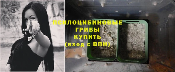 стаф Дедовск