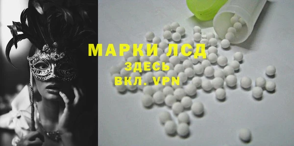 ГАЛЛЮЦИНОГЕННЫЕ ГРИБЫ Новозыбков