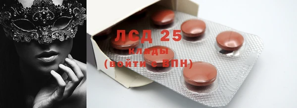 ГАЛЛЮЦИНОГЕННЫЕ ГРИБЫ Новозыбков