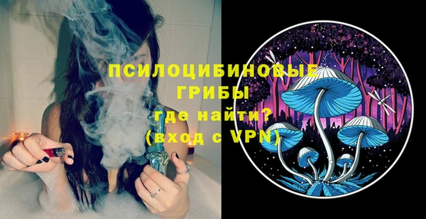 ГАЛЛЮЦИНОГЕННЫЕ ГРИБЫ Новозыбков