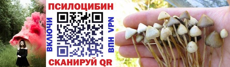 shop какой сайт  Старая Русса  Псилоцибиновые грибы ЛСД 