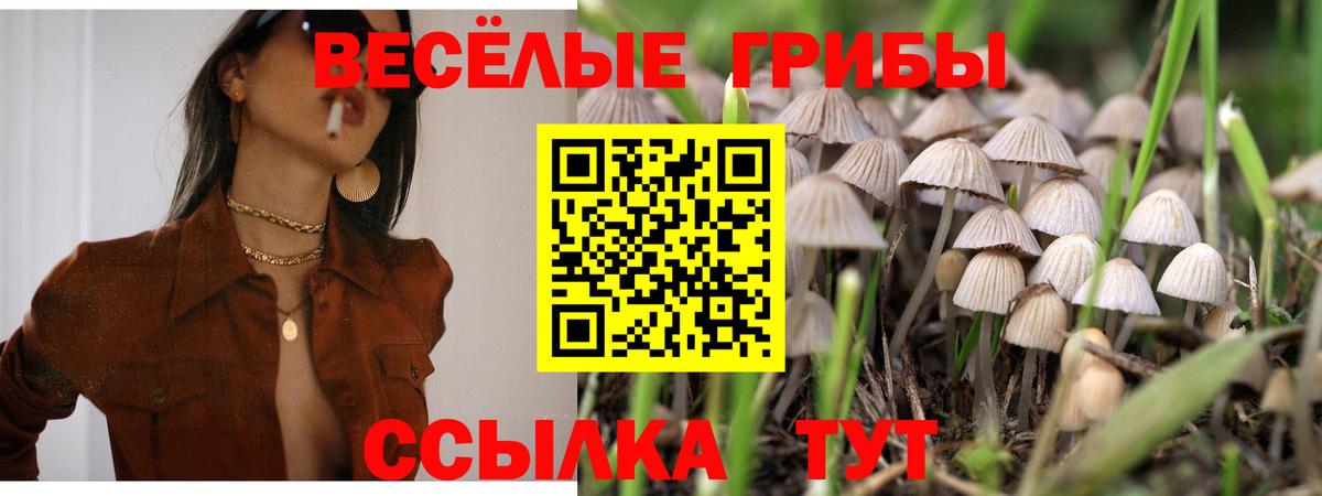Галлюциногенные грибы Cubensis  Вход с VPN  Галлюциногенные грибы MAGIC MUSHROOMS  Старая Русса 