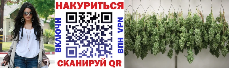 Каннабис планчик  Старая Русса 